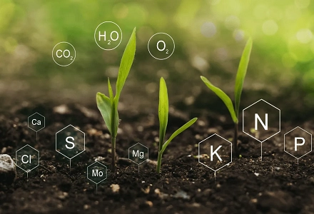 Cómo los agentes quelantes IDS mejoran los fertilizantes con micronutrientes