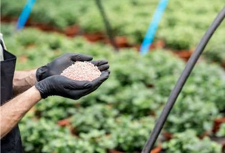 Beneficios clave del ácido poliaspártico para el crecimiento y el rendimiento de los cultivos