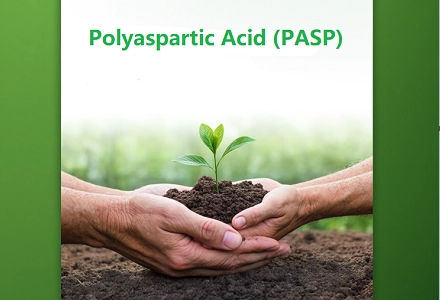 Ácido poliaspártico (PASP): una solución ecológica para el rendimiento de los cultivos y la salud del suelo