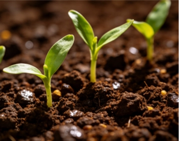Aplicaciones agrícolas
